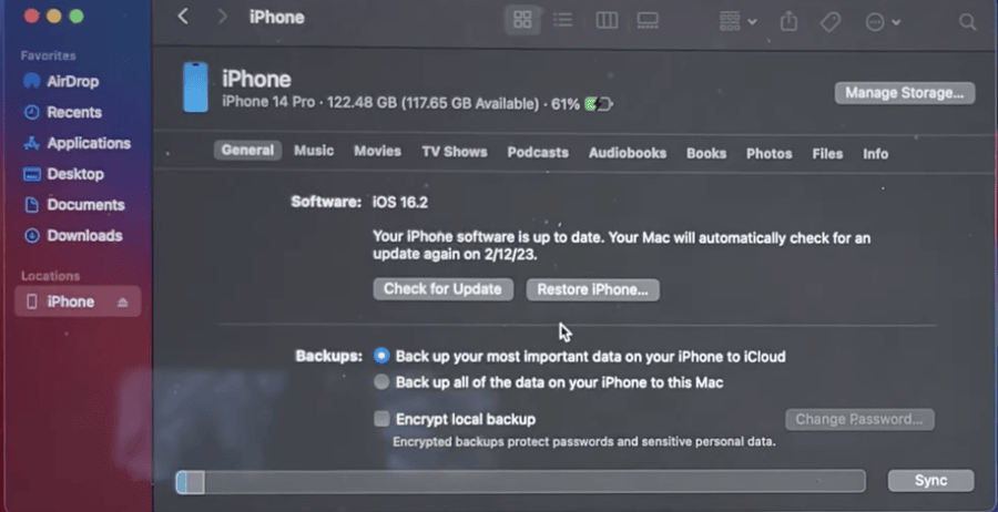 click Restore iPhone